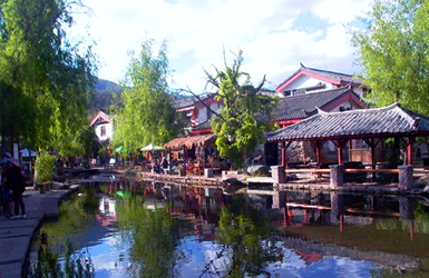 查看 品途旅游网案例