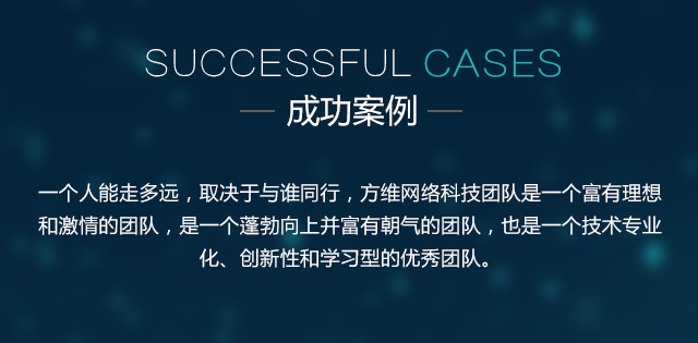 成功案例